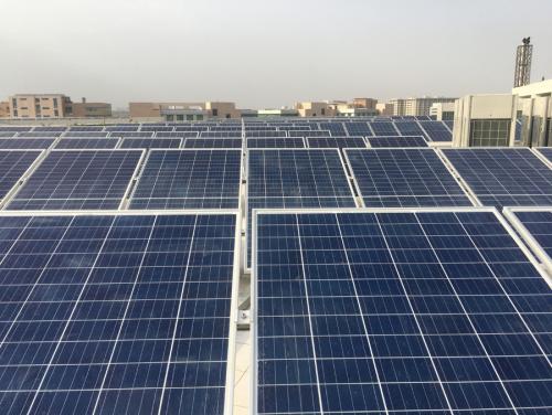 mpower-green-energy-jaipur (15)